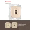 Розетка USB встраиваемая Arte milano 205.46-1.shampan цвет шампань