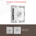 Розетка ТВ/спутник встраиваемая Arte milano 217.42-1.silver цвет серебро