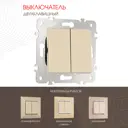Выключатель встраиваемый Arte milano 203.30-2.shampan 2 клавиши цвет шампань