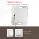 Выключатель перекрёстный встраиваемый Arte milano 206.34-1.silver 1 клавиша цвет серебро