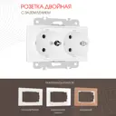 Розетка двойная встраиваемая Arte milano 203.40-2.white с заземлением цвет белый