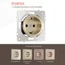 Розетка встраиваемая Arte milano 385174 с заземлением и шторками цвет шампань