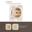 Розетка встраиваемая Arte milano 385630 с заземлением и шторками цвет шампань