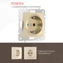 Розетка встраиваемая Arte milano 385710 с заземлением и шторками цвет шампань