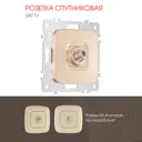 Розетка ТВ/спутник встраиваемая Arte milano 385634 цвет шампань