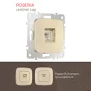 Розетка компьютерная встраиваемая Arte milano 385637 цвет шампань