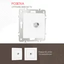 Розетка встраиваемая Arte milano 385654 цвет белый