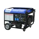 Генератор бензиновый ТСС PRO GGW 3.0/250E-R 3 кВт
