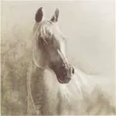 Ковер Cleopatra Рутс под рамку /27 X 80x80 см