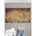 Коврик грязезащитный Joyarty door_1506 45x75 см войлок