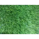 Искусственный газон Prettie grass толщина 20 мм 0.5x2 м (рулон) цвет зеленый