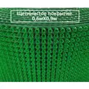 Коврик щетинистый Голиаф 60x90 см цвет зеленый