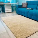Ковер Витебские Ковры Фризе Шегги sh//03 150x250 см полипропилен цвет бежевый