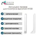 Заглушка правая для плинтуса HENNOX H100 алюминий 100 мм