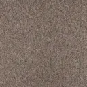 Ковер Белка Сегура 01_254 17380000 Квадрат 250x250 см Полипропилен