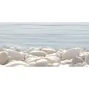 Декор Alma Ceramica Del Mare 2 DWU09DLM604 50x24.9см цвет разноцветный, цена за штуку