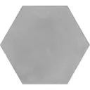 Керамогранит Kerama marazzi Пуату SG23030N 23.1x20см цвет серый, цена за упаковку