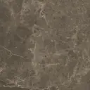 Керамогранит Fap ceramiche Fap roma 60x60 fLRI 60x60см цвет темно-коричневый