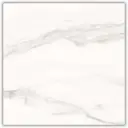 Керамогранит Velsaa Pantheon RP-91889_KRD 60x60см цвет белый