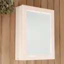 Зеркало навесное липа правое открывание 47x37x12 см