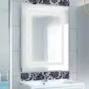 Зеркало для ванной Акватон 1A177602RN010 60x100см