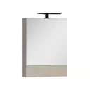 Шкаф зеркальный подвесной Aquanet 00158856 58x67см цвет дуб