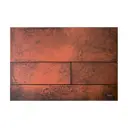 Панель смыва Tece 9240845 цвет красный