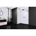 Душевая перегородка Radaway 389065-54-01 65x200см черный профиль