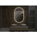 Зеркало для ванной комнаты Континент Fleur Led 4660124906761 65x110см прямоугольное
