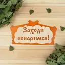 Табличка для бани Заходи попаримся в виде избы 29x15см