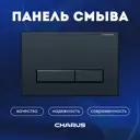 Панель смыва Charus FP.321.DW.01 цвет черный