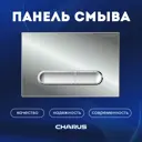 Панель смыва Charus FP.340.21.01 цвет серый, серебристый