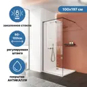 Душевая перегородка МАРТ WALK IN Elegance 100x195см профиль черный