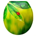 Сиденье для унитаза Delphinium 105025 цвет зеленый