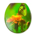 Сиденье для унитаза Delphinium 105068 цвет зеленый
