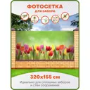 Фотосетка Art ФС067 Утро в тюльпанах 320x155см