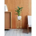 Подставка для цветочного горшка Greenween Oxalis 23 см x 23 см x 61 см металл жёлтый/золотой