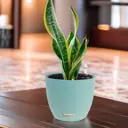 Кашпо Round matt blue Planta vita d 18 см 15 см 2 л abs-пластик синий с автополивом
