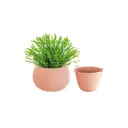 Кашпо Splofy Bowl Prosperplast 29 см 2 л пластик оранжевый
