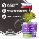 Краска фасадная EUROPAINT В_ЛМ_1111_ТР 5 л цвет трюфель