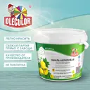 Эмаль акриловая OLECOLOR 4300008765 полуглянцевая цвет лазурное небо 0.8 кг