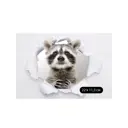 Наклейка виниловая Decoretto JO 1006 Декор 0.01x23 см