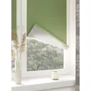 Рулонная штора Блэкаут сильвер Domlegrand 66x175 цвет зеленый