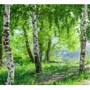 Фотообои флизелиновые Design studio 3d 300x270 см L001-4-1