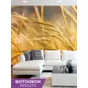 Фотообои флизелиновые Gustav House 3x2.7 м Колосья/3538