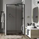 Душевая дверь WasserKRAFT Dill 61S13 110 см
