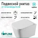 Унитаз подвесной Topline Top041 безободковый с сиденьем микролифт