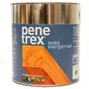 Грунт-антисептик Penetrex Аква-Импрегнат 2.3л бесцветный