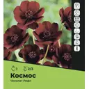 Космос Чоколат Рафл луковицы 2/3