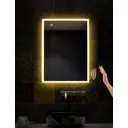 Зеркало для ванной Alfa mirrors Niko-68 Niko-68Vzt с подсветкой 60x80см
